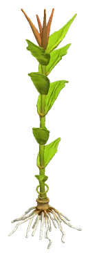 Murdannia keisak