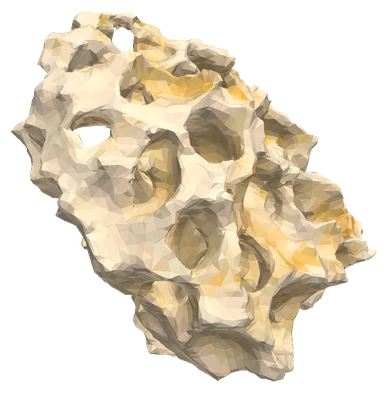 Texas Holey Rock