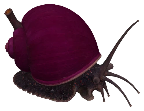 Mystery Snail, Purple