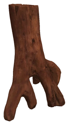 Mangrove Tree Stump