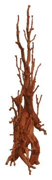 Redmoor Root