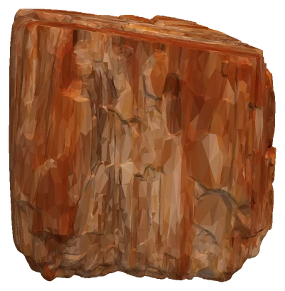 Petrified Wood