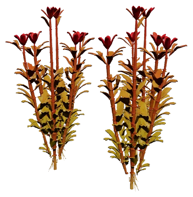 Ludwigia sphaerocarpa