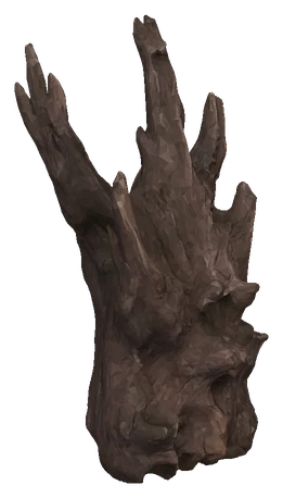 Malaysian Driftwood