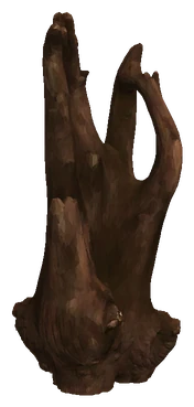 Bogwood