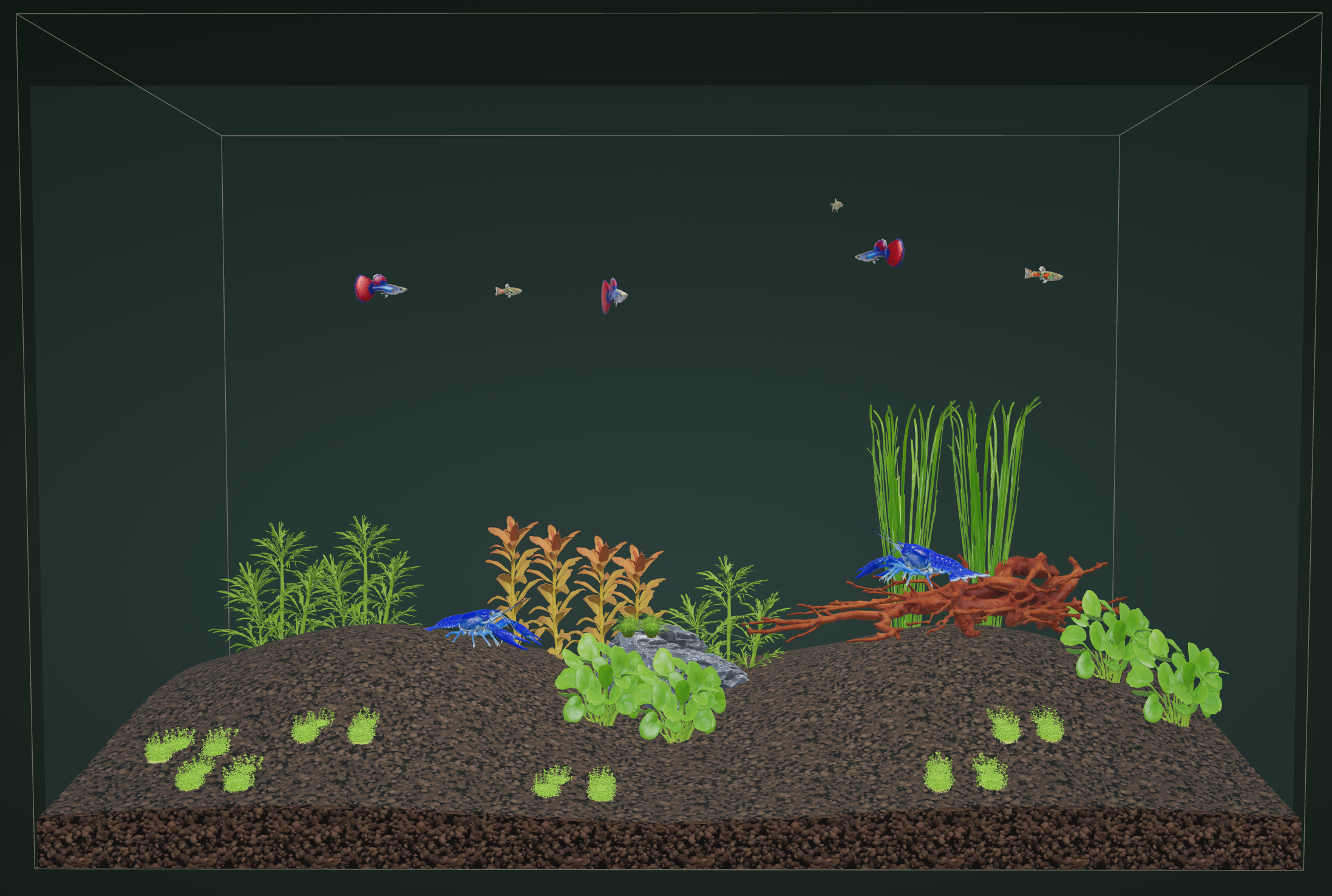 Existing home-page example: the hand-placed aquarium layout shown in 3D at month 3.