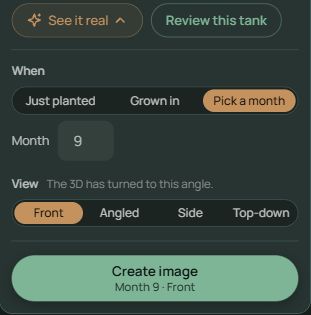 Actual See it real options: When, Pick a month, Month, View and Create image. This screenshot shows month 9 selected; it is a control example.